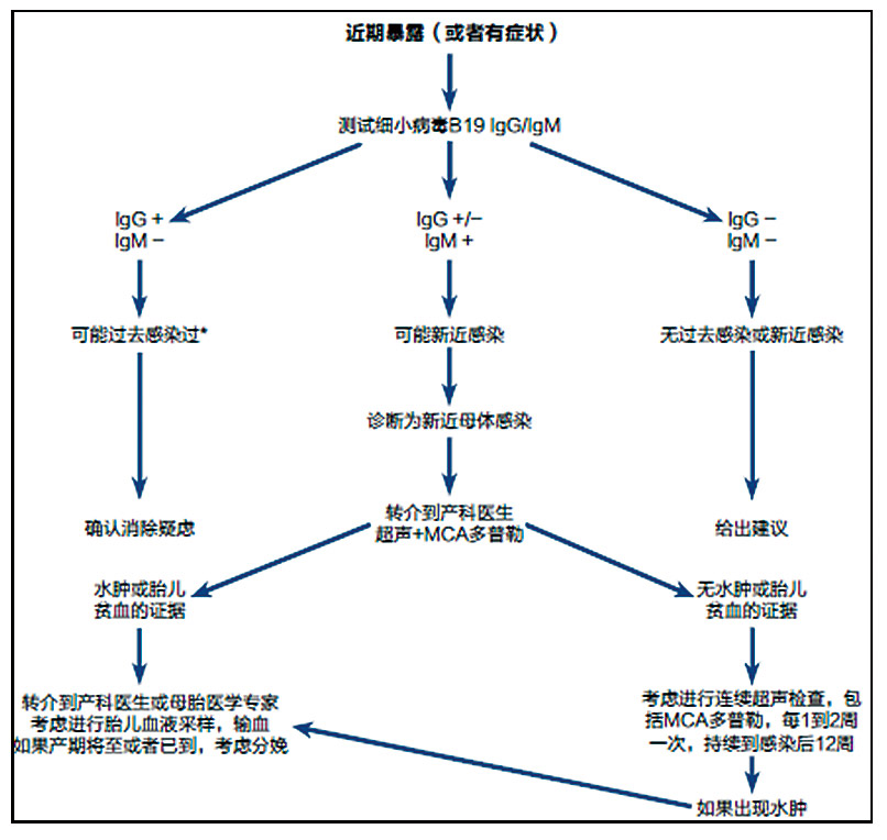 索灵-2.jpg