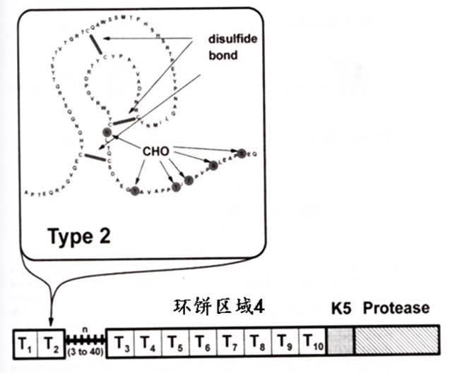 Lp（a）检测标准化-2.jpg