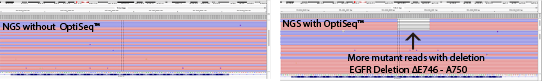 optiseq2.png
