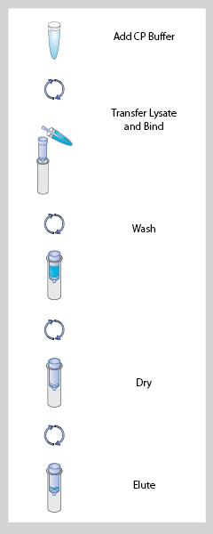 D6492-Protocol1.jpg