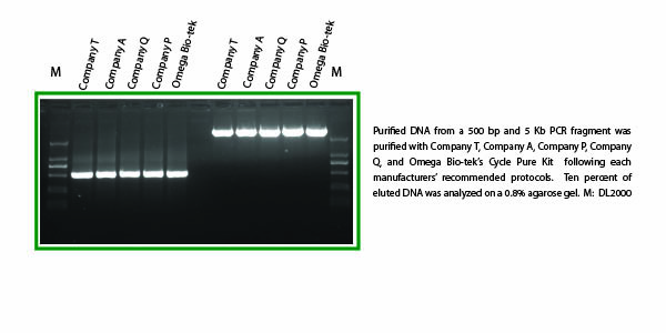 Cycle_Pure_Data_gel3.jpg