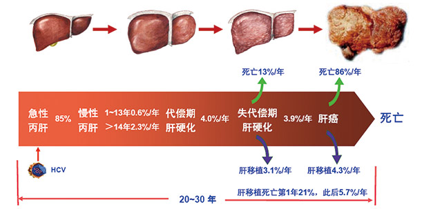 技术导航-3.jpg