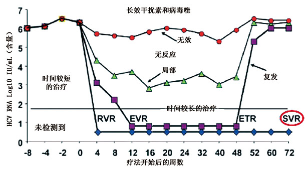 国际动态-4.jpg