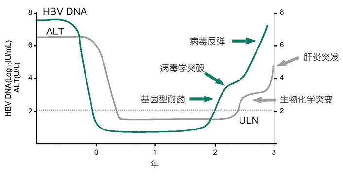 北京毅新博创-2.jpg