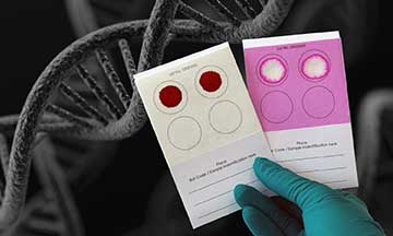 Ahlstrom-GenCollect™-and-GenCollect™-Color.jpg
