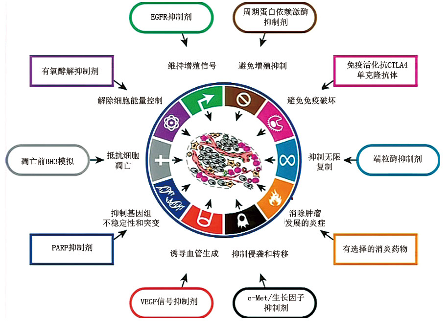 国际动态-1.jpg