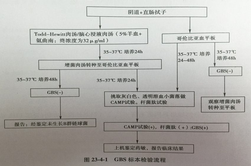 微生物-14.jpg