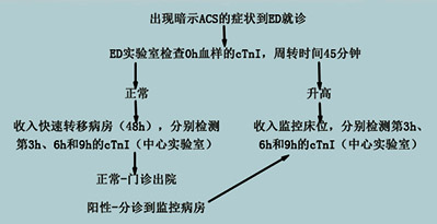 案例研究-3.jpg