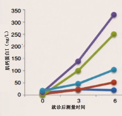 案例研究-5.jpg