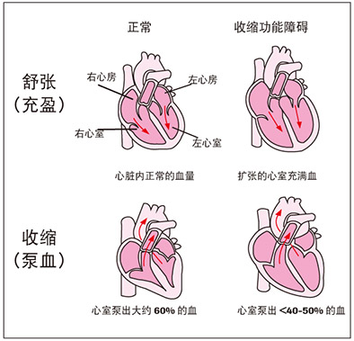 罗氏软文（7月）-9.jpg