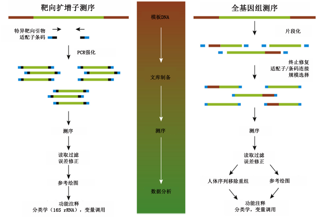 国际动态.jpg