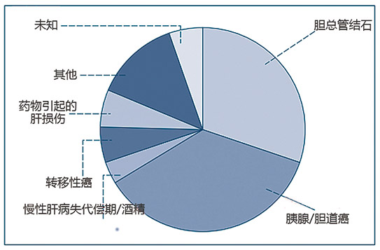 发达国家的戊型肝炎病毒-1.jpg