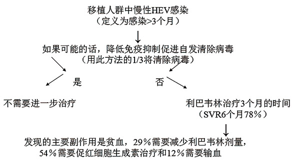 发达国家的戊型肝炎病毒-3.jpg