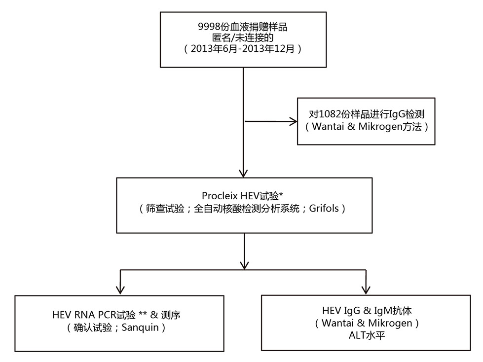 国际第二篇-1.jpg