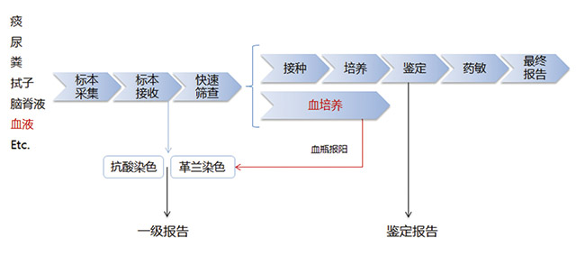 梅里埃-图1.jpg