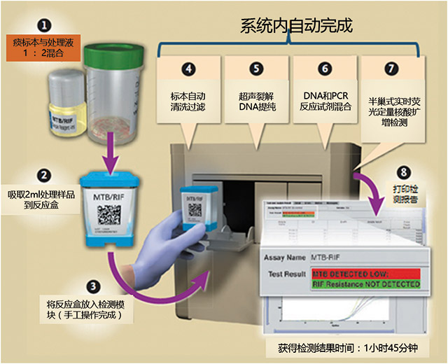 赛沛-图2.jpg