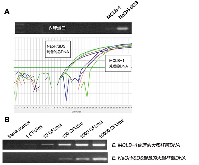 技术导航-1-2.jpg