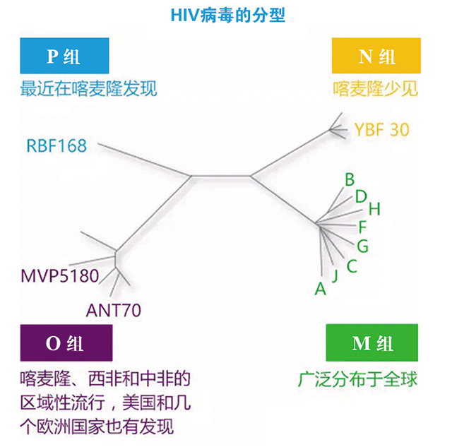 经验交流-雅培-1.jpg