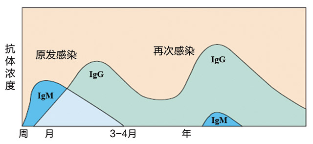 经验交流-亚辉龙-2.jpg