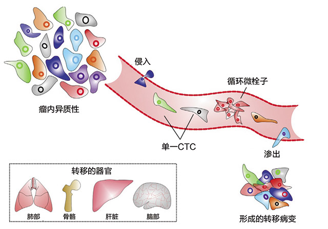 对话-1.jpg