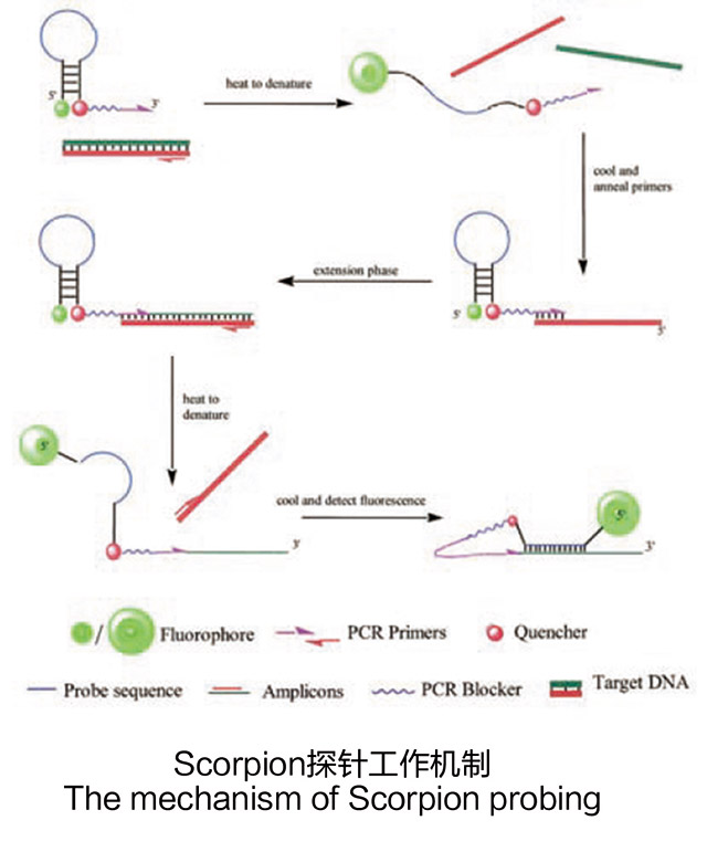 技术导航-综述-1.jpg