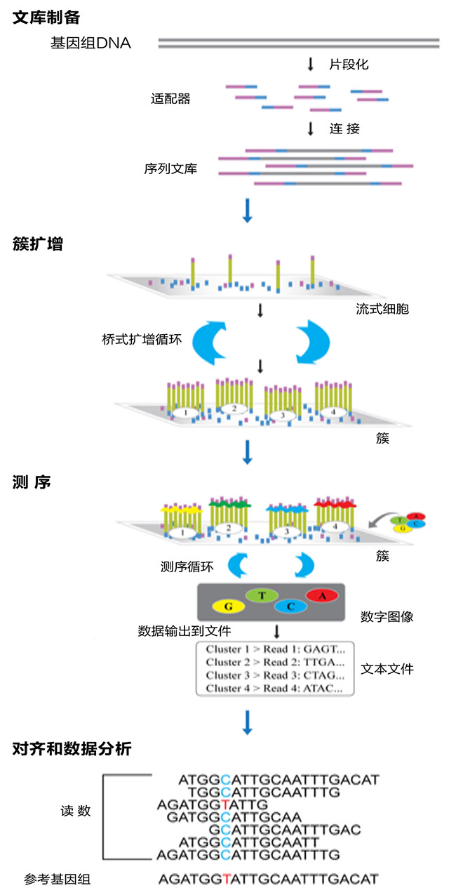 技术导航2-4.jpg