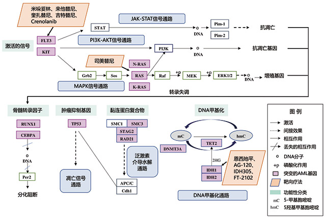 技术导航-基因突变-图1.jpg