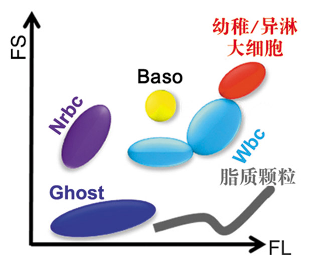 经验交流-迈瑞-图1.jpg