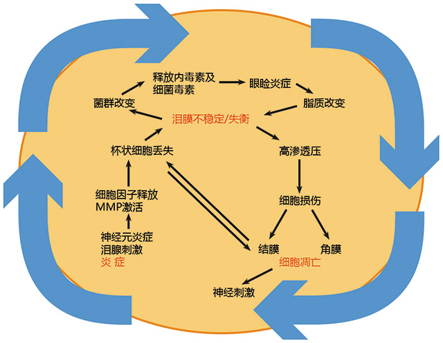 技术导航-欧洲严重干眼诊断共识-图1.jpg