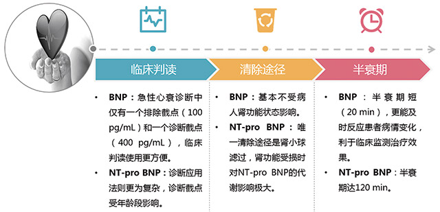 经验交流-艾瑞德-3.jpg