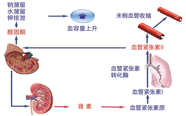 经验交流-索灵-1.jpg