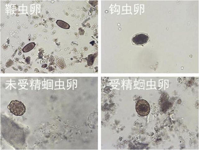 专家论坛-张时民-10.jpg