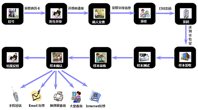 实验室自动化-腾程-3.jpg