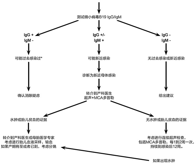 经验交流-索灵-1.jpg