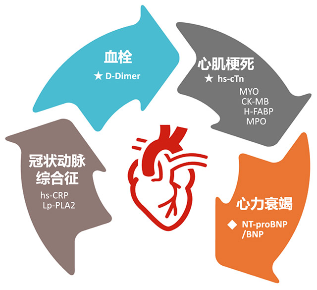 经验交流-菲鹏.jpg