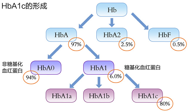 案例分析-糖化血红蛋白为0-1.jpg