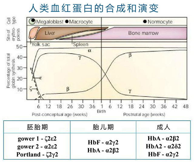 案例分析-糖化血红蛋白为0-8.jpg