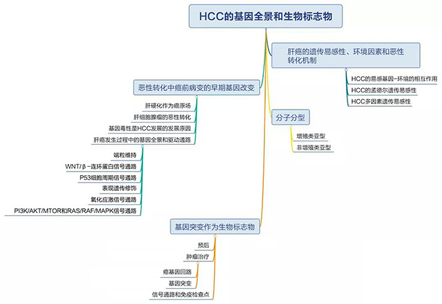 技术导航-肝癌基因突变和标志物-图0-HCC的基因全景和生物标志物.jpg