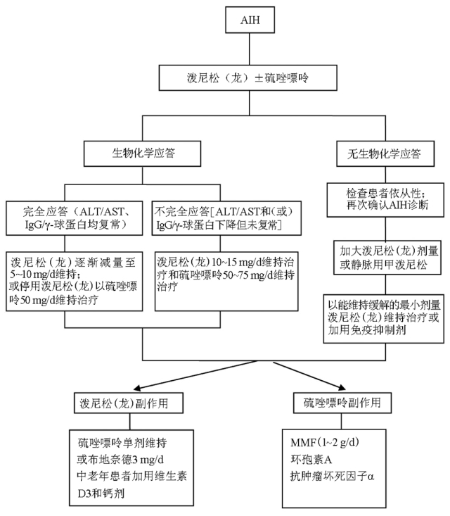 技术导航-自身免疫性肝炎诊断和治疗共识-图3_副本.jpg
