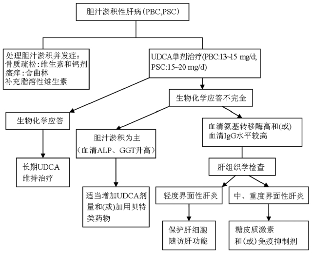 技术导航-自身免疫性肝炎诊断和治疗共识-图4_副本.jpg