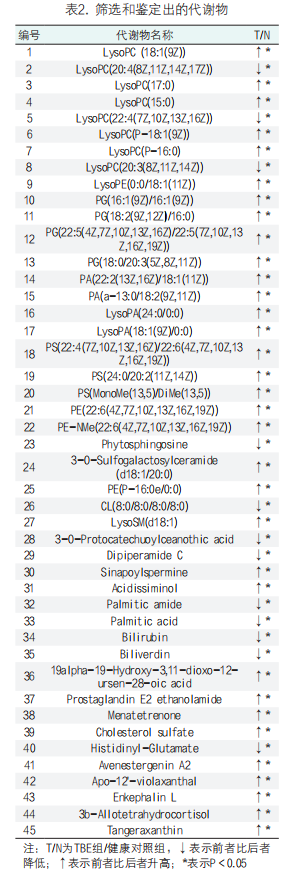 33.png