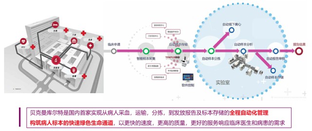 贝克曼-6.jpg