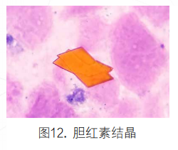 51.png