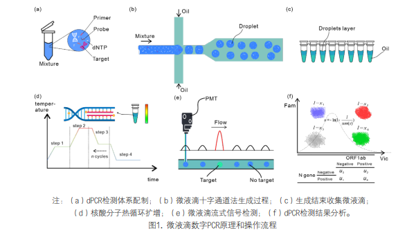 数字PCR在COVID-19疫情中的应用