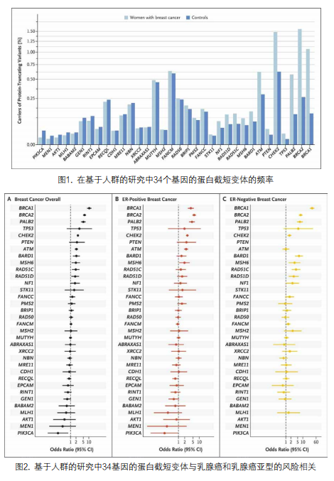 乳腺癌风险基因：对超过113000名女性进行关联分析