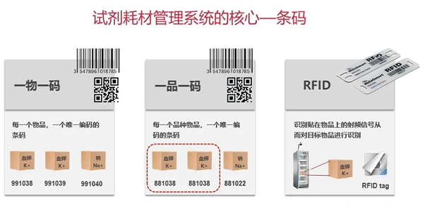 奥森多-图2.png