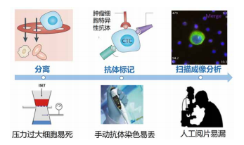 循环恶性肿瘤细胞检测系统新技术应用与临床诊断价值