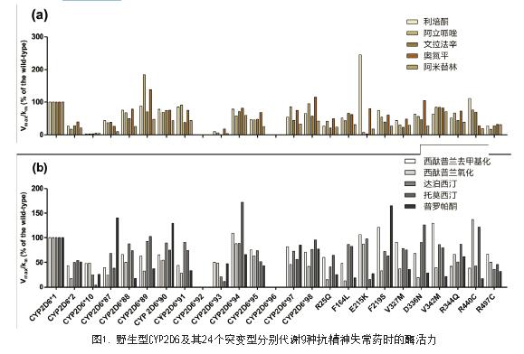 肝药酶CYP2D6变异体的体外酶学活性研究与临床精准用药