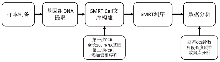 马越云-图5.png