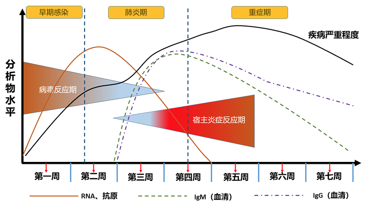 谢龙-图2.png